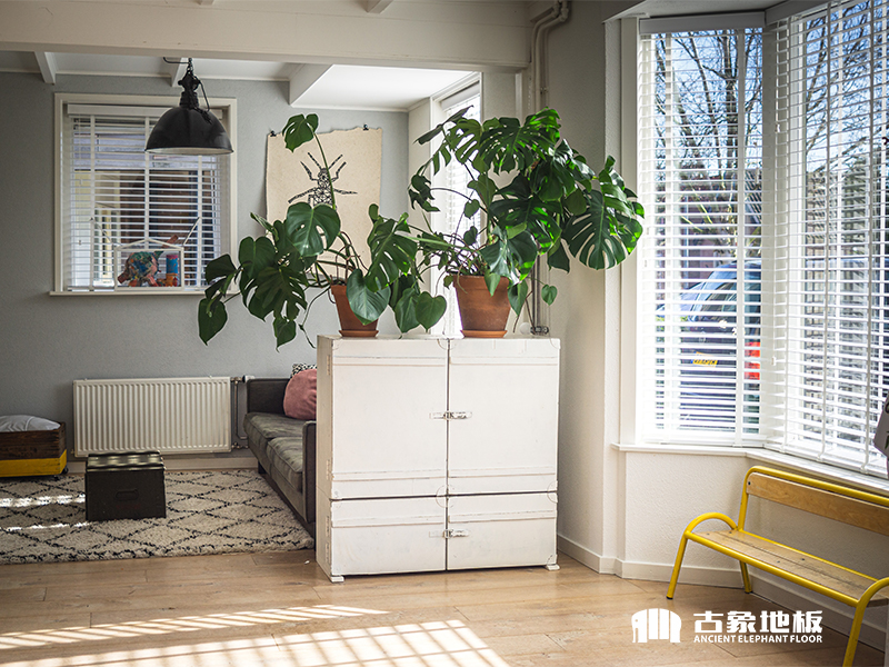 強(qiáng)化地板