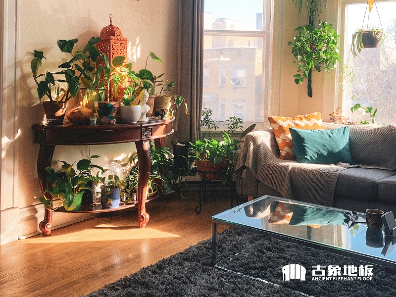 古象地板 古象地板