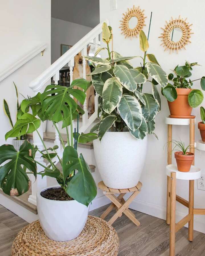 多層實(shí)木地板