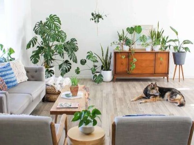 柚木地板如何保養(yǎng)