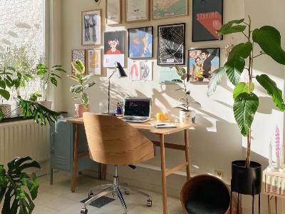 實(shí)木地板為什么越來越受歡迎