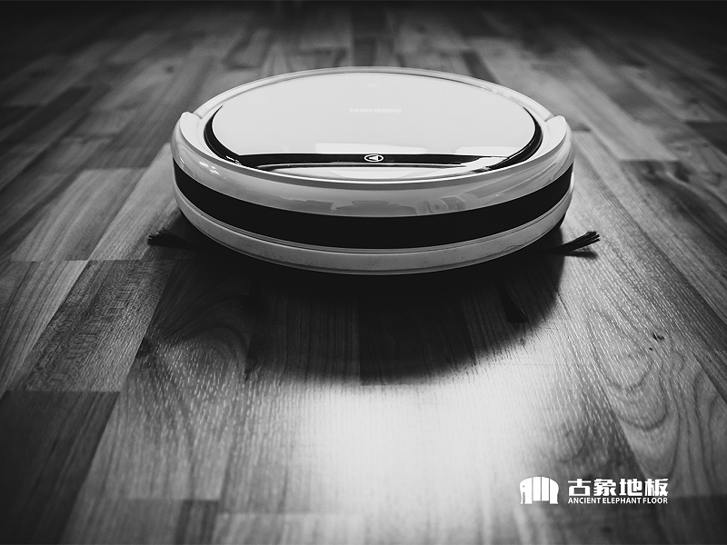 經(jīng)常除塵 經(jīng)常除塵